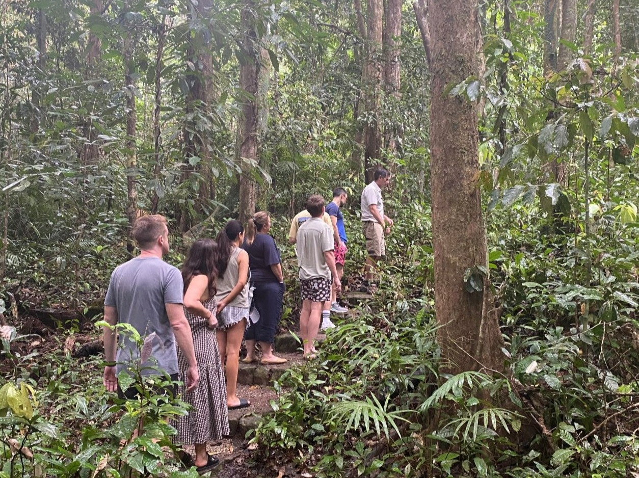 Dream team walking through the forest 