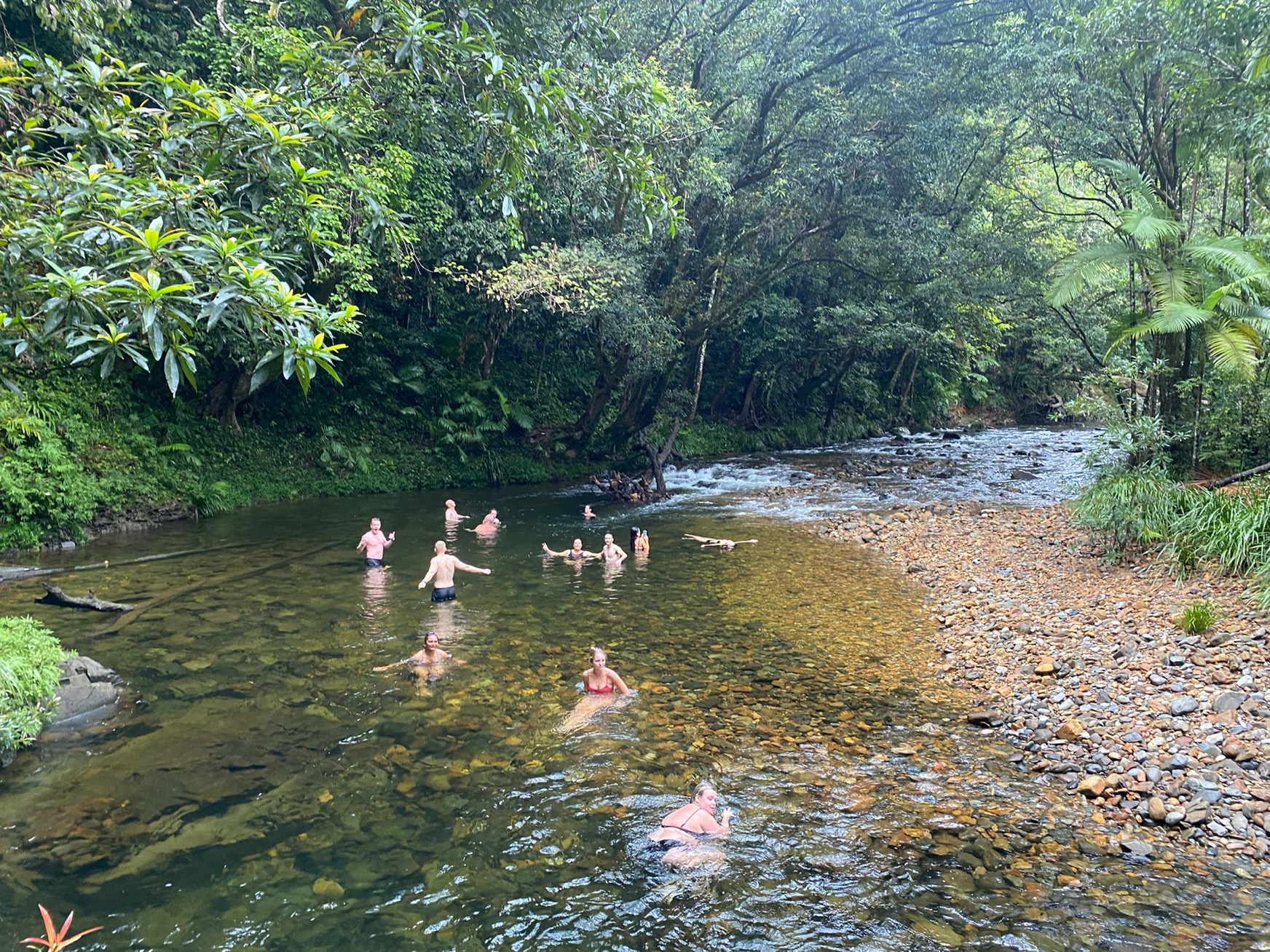 Dream team swimming in river