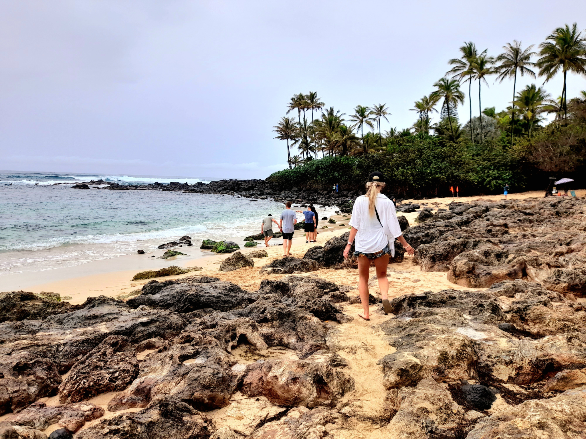 Some of the team walking on a rocky beach