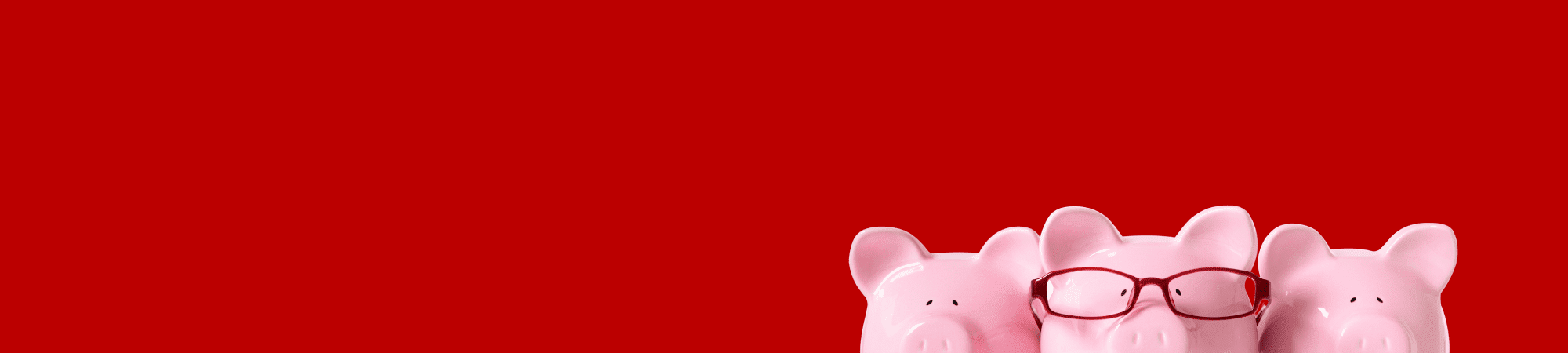 Red banner with pink pigs 